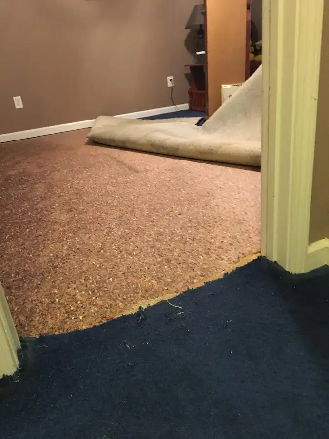 Carpet pad removal revealing water damage during Drying & Dehumidification in Mount Dora