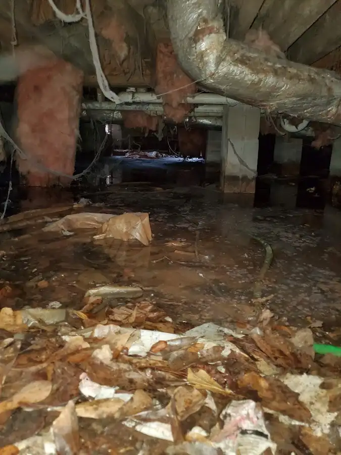 Crawl space flood assessment for Leak Detection & Repair in Mount Dora