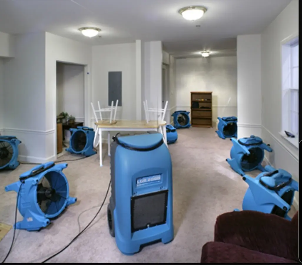 Air movers and dehumidifier setup for Water Extraction & Removal in Mount Dora