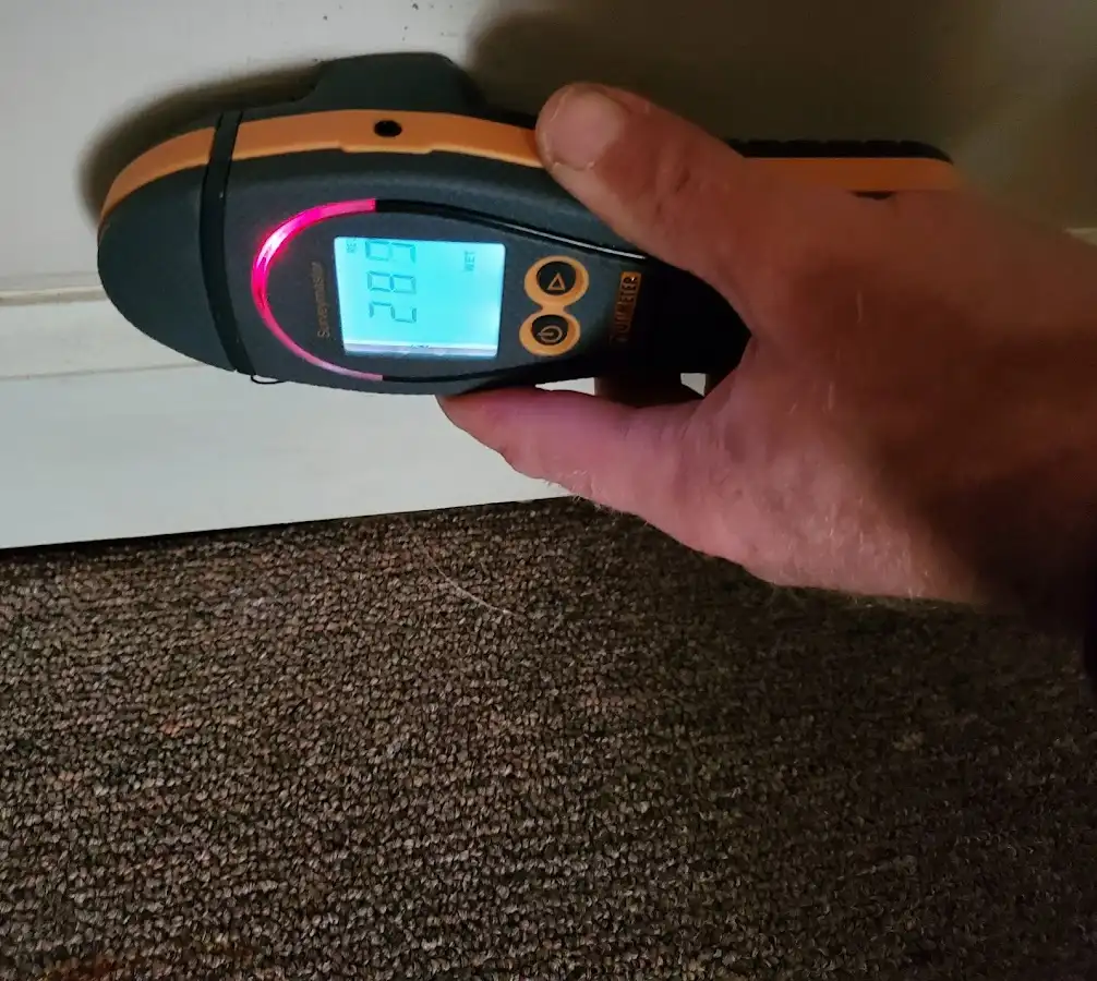 Moisture detection at baseboard during Burst Pipe Cleanup in Mount Dora